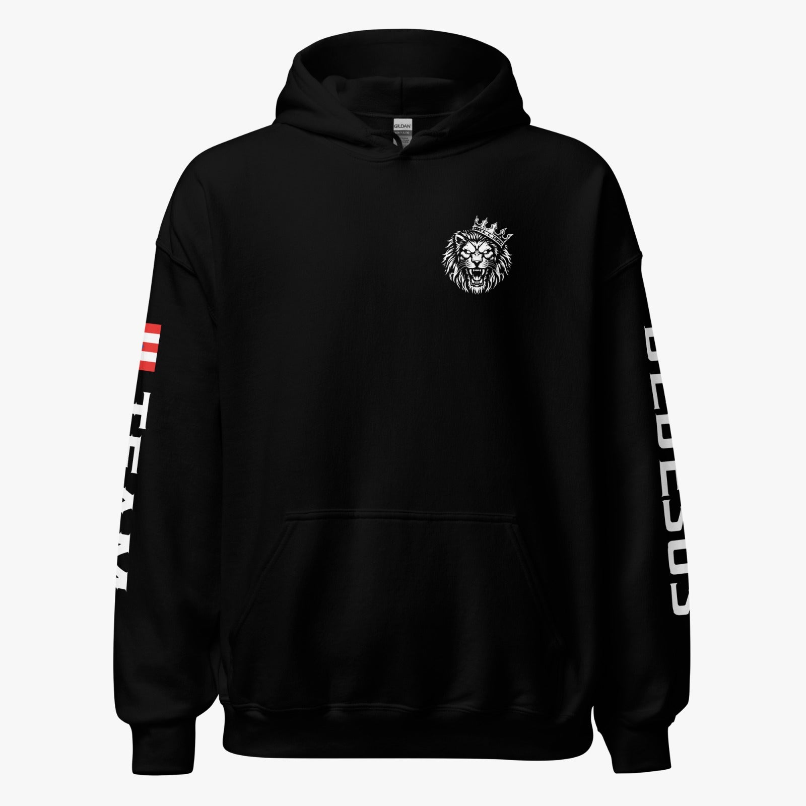 Official Team DeJesus Fight Night Hoodie - MSG April 17th, 2026